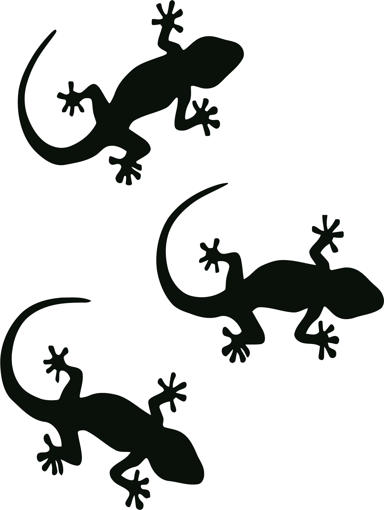 3 Geckos