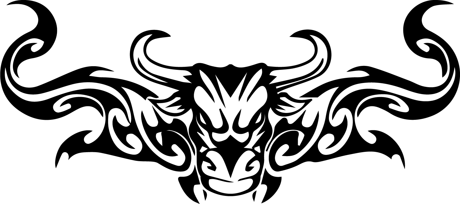 Bull Skull