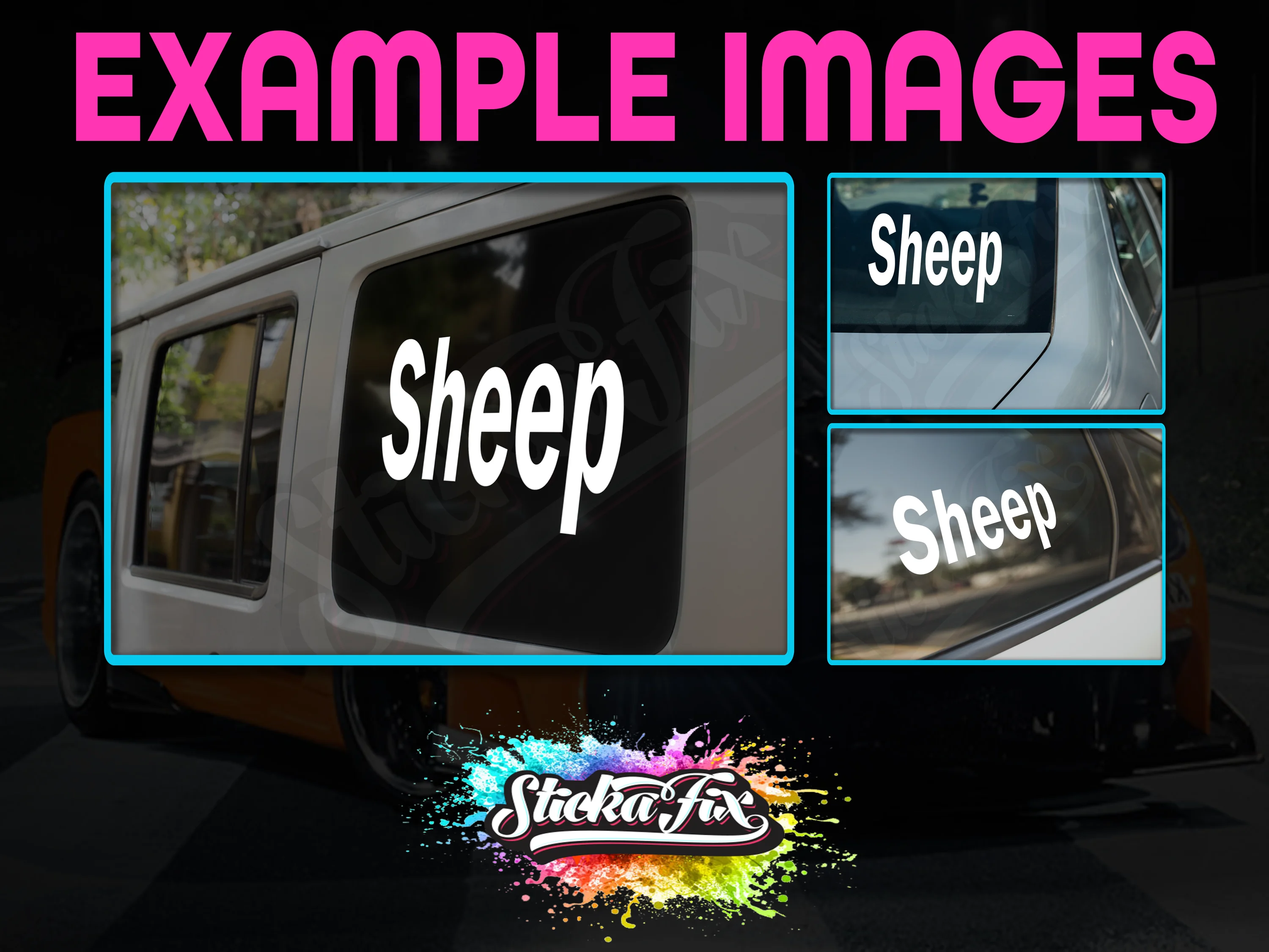 Sheep