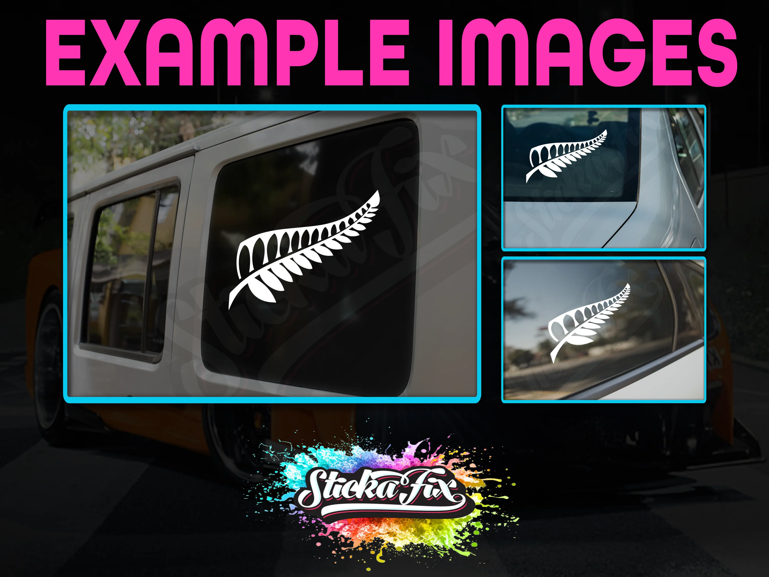NZ Silver Fern